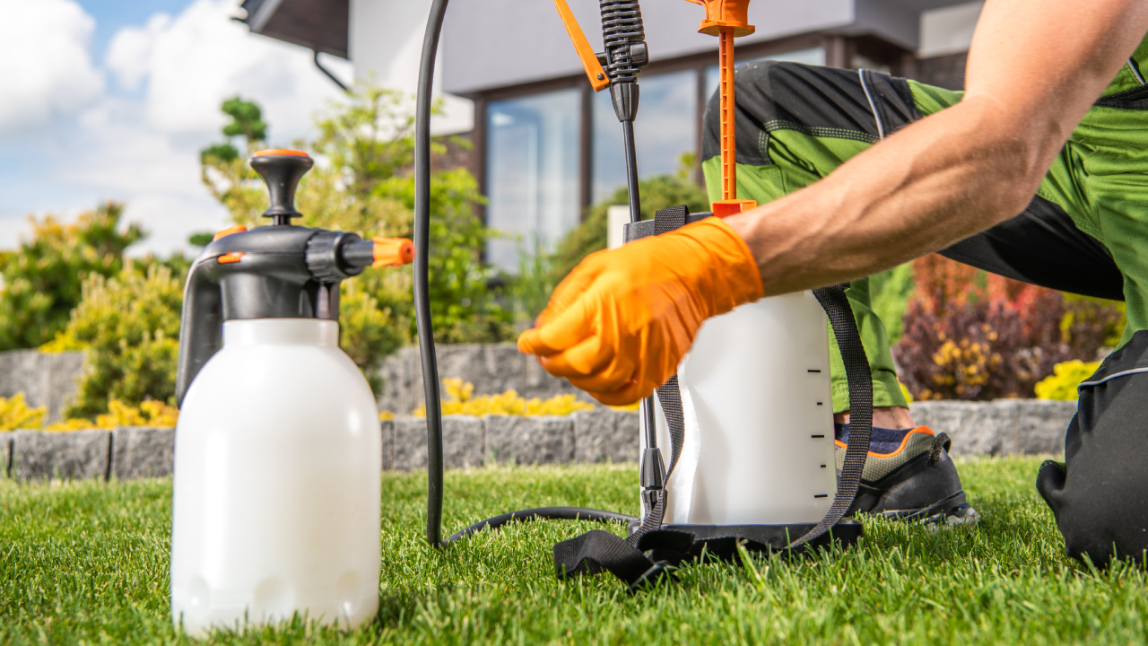 Fitosanitarios y control de plagas